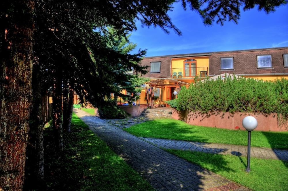 بنزيون أجروتيرمال بيشينيوفا