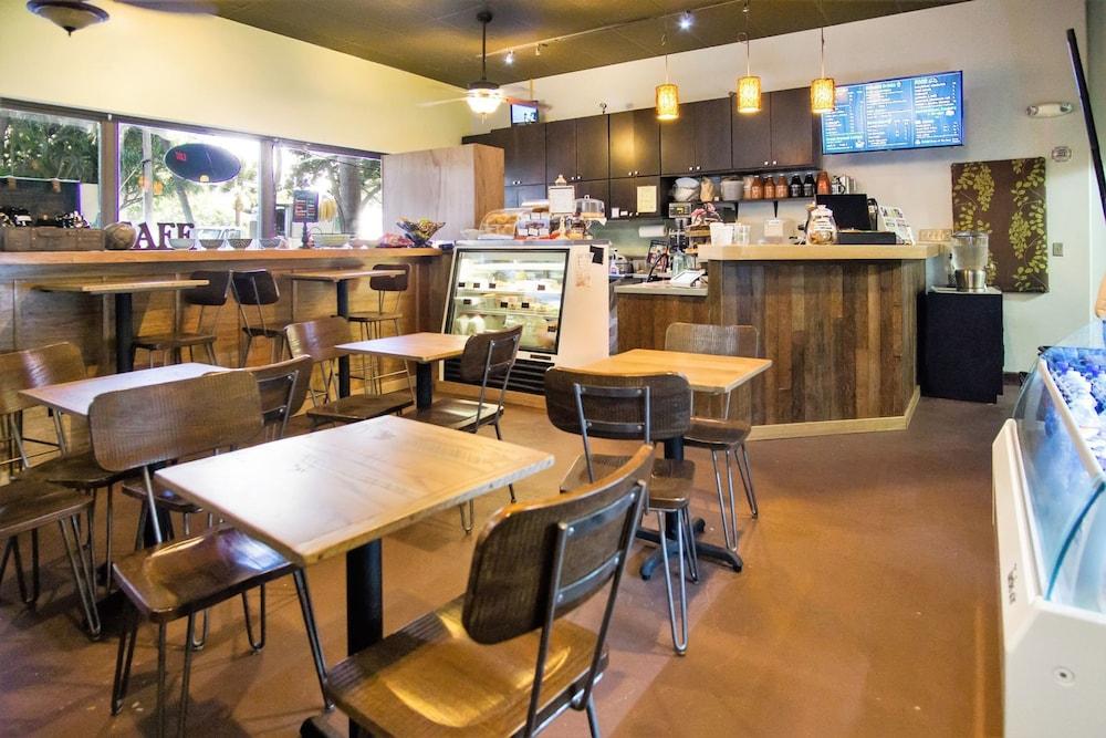 وايكيكي بانيان - بول ديك ليفل تاور 1 سويت 610 داخلي