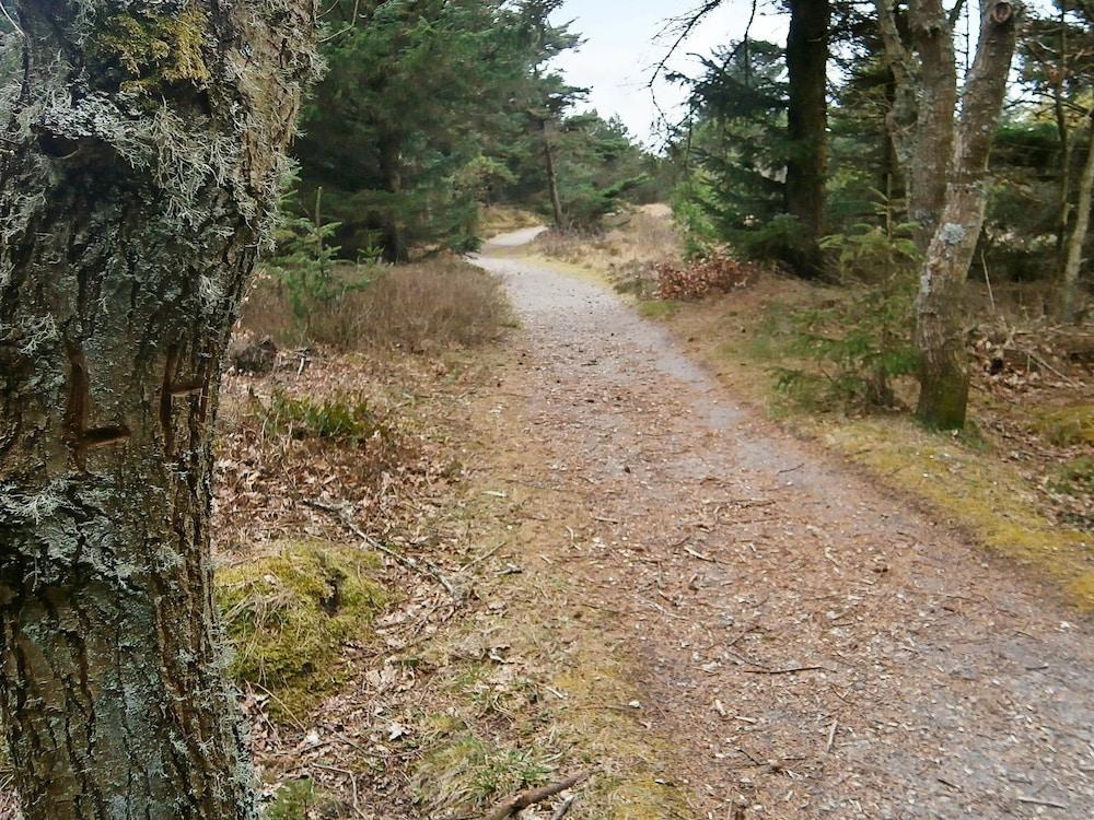 ليفيلي هوليداي هوم انن اولفبورج ويذ ويرلبول المنطقة المحيطة بالمنشأة